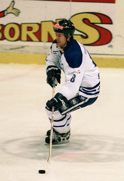 Ishockey, Södra Allsvenskan, Magnus Svensson, Leksand