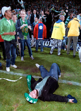 Hammarby, supporter
