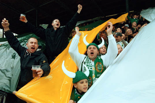 Supporter, Hammarby