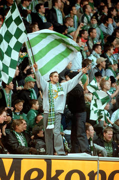 Hammarby, supporter