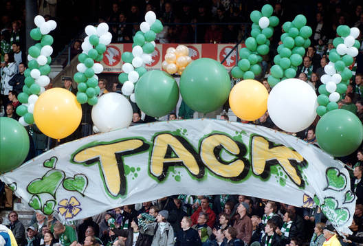 Supporter, Hammarby