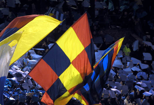 Djurgården, supporter, flagga