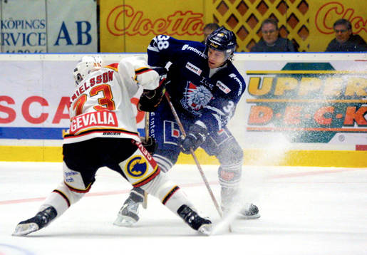 Björn Danielsson, Brynäs och Barry Richter, Linköping