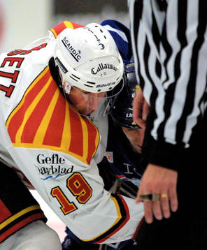 Tom Bisset, Brynäs