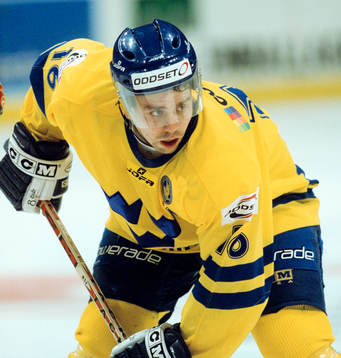 Nichlas Falk, Sverige