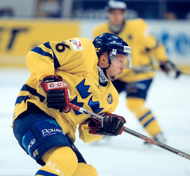Anders Burström, Sverige