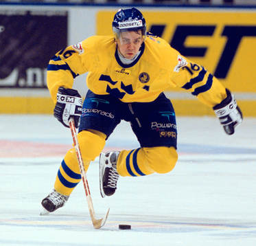 Nichlas Falk, Sverige