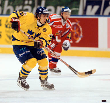 Henrik Zetterberg, Sverige