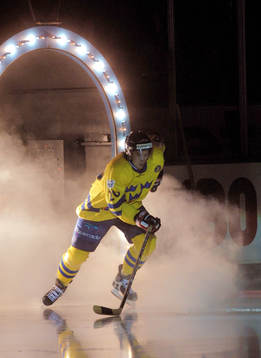 Henrik Zetterberg, Sverige