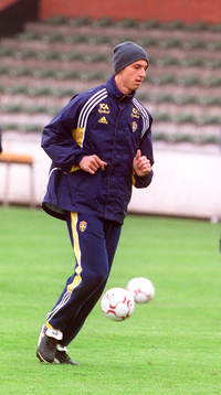 Zlatan Ibrahimovic, Sverige