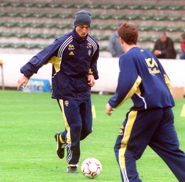 Zlatan Ibrahimovic, Sverige