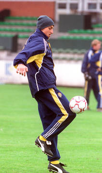 Zlatan Ibrahimovic, Sverige