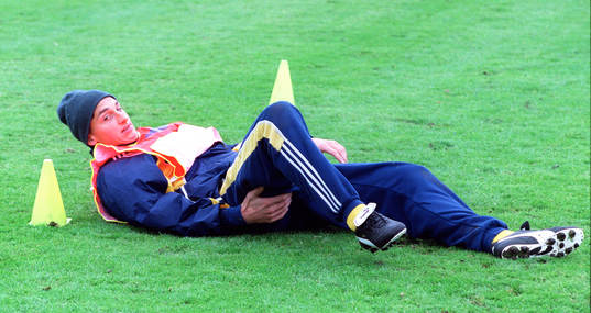 Zlatan Ibrahimovic, Sverige