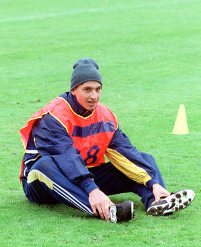 Zlatan Ibrahimovic, Sverige