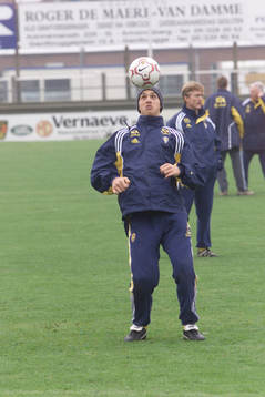 Zlatan Ibrahimovic, Sverige