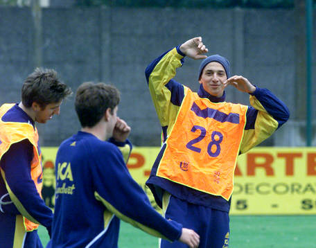 Zlatan Ibrahimovic, Sverige