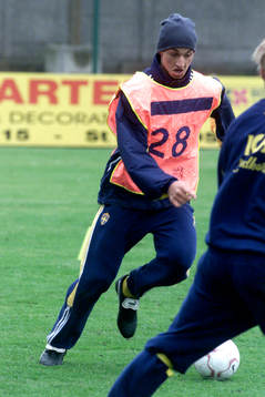 Zlatan Ibrahimovic, Sverige