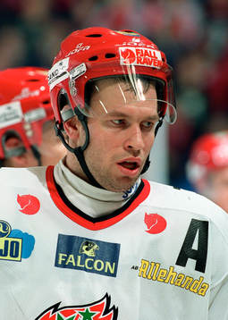 Ishockey, Elitserien, Magnus Wernblom, Modo