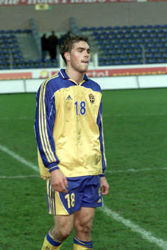 Johan Elmander, Sverige