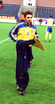 Nils-Eric Johansson, Sverige