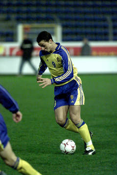 Zlatan Ibrahimovic, Sverige