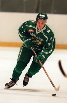 Ishockey, Joakim Andersson, Hammarby