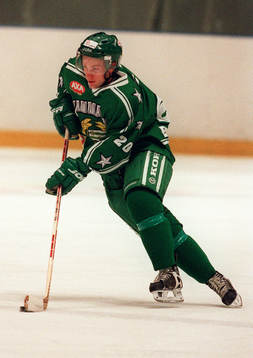 Ishockey,  Tim Eriksson, Hammarby