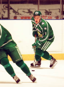 Ishockey, Linus Stensson, Hammarby