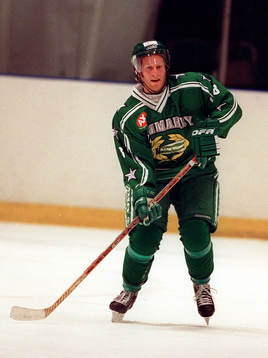 Ishockey, Jonas Göthenberg, Hammarby
