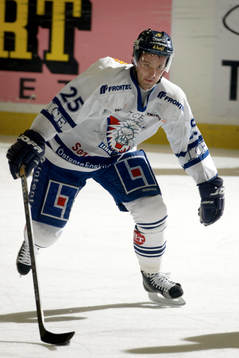 Ishockey, Elitserien, Mikael van der Geest, Linköping