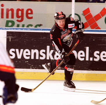 David Petrasek, Malmö