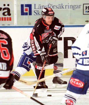 David Petrasek, Malmö