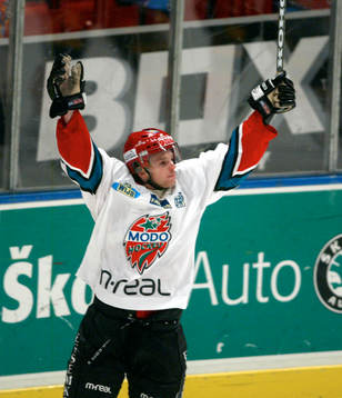 Ishockey, Elitserien, Richard Litner, Modo