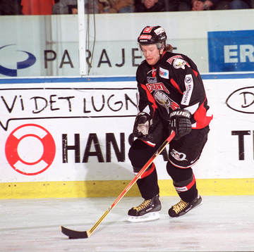 David Petrasek, Malmö