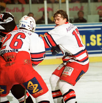 David Svee, Södertälje