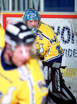 Boo Ahl, målvakt HV 71