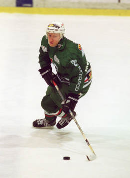 Björn Engström, Rögle