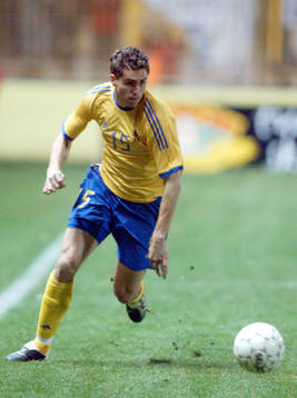 Johan Elmander, Sverige