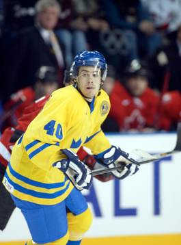 Henrik Zetterberg, Sverige