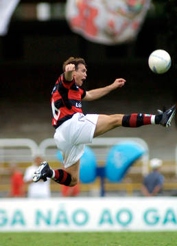 Dejan Petkovic, Flamengo