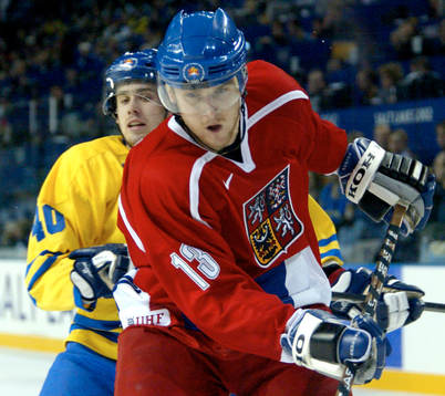 Henrik Zetterberg, Sverige