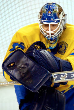 Tommy Salo, Sverige