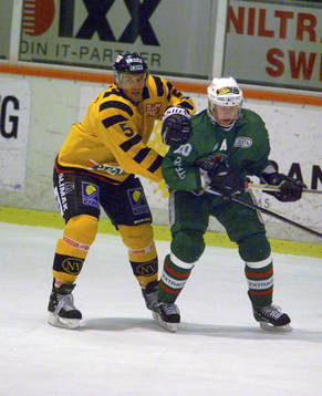 Igor Matuchkin, Skellefteå och Pelle Svensson, Rögle