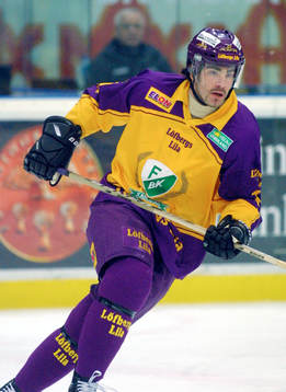 Mathias Johansson, Färjestad