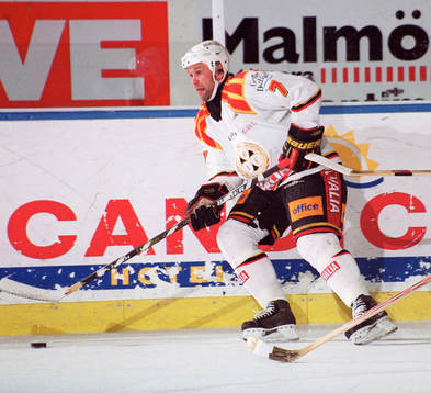 Tommy Sjödin, Brynäs