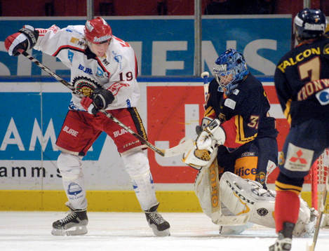 Sergei Naumov och Niklas Kronwall, Djurgården och Jari