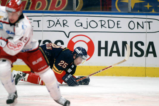 Mikael Johansson, Djurgården och Timmy Pettersson,
