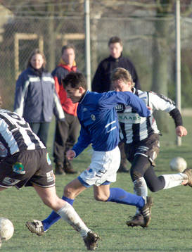 Fotboll, Adriano Alfonso, Halmstad