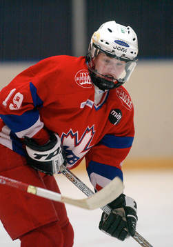 Ishockey, Dam, Elitserien, SM-Final, Mälarhöjden /