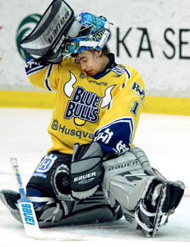 Stefan Liv, HV71 deppar